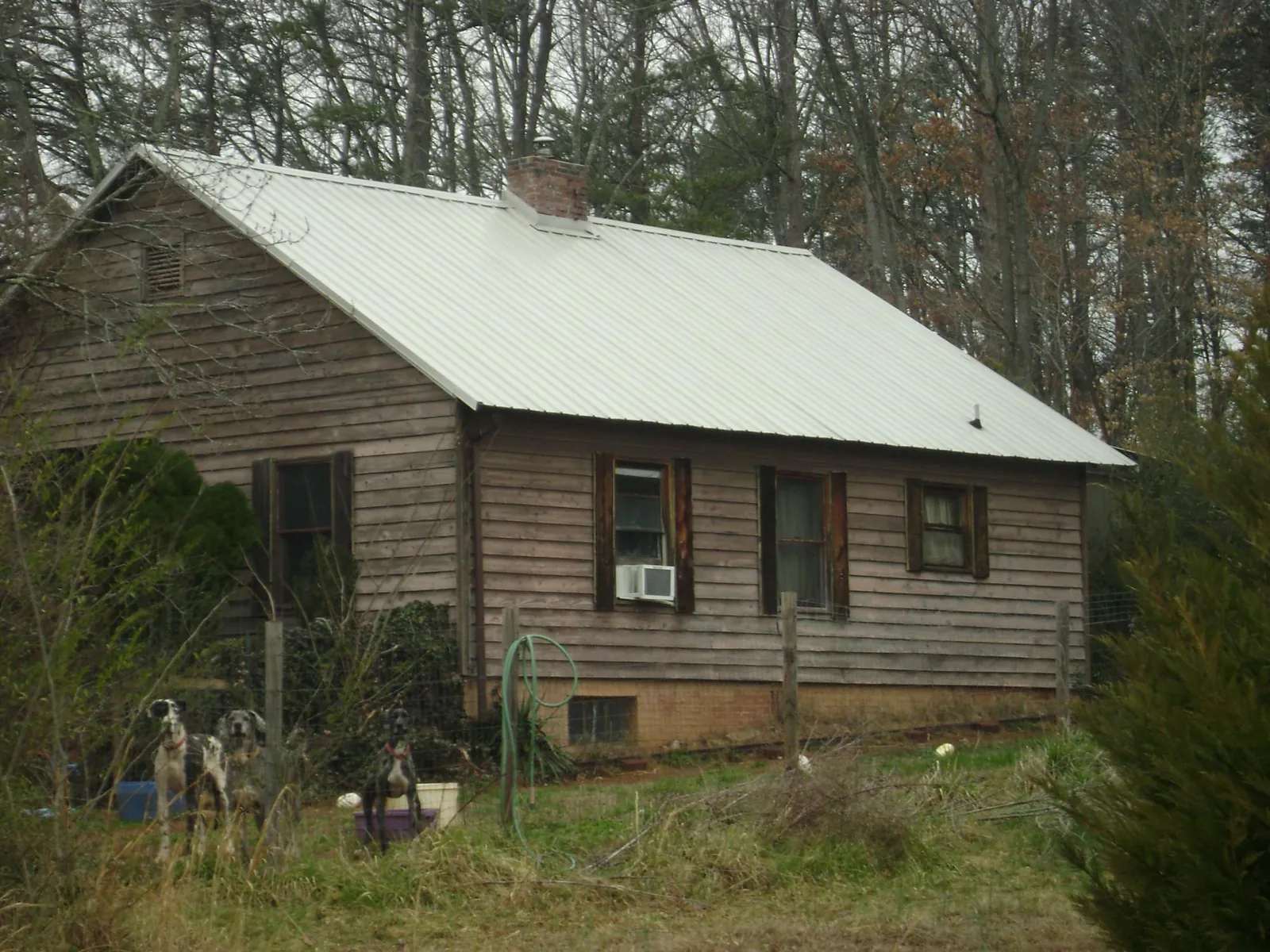 White metal roof on an old wood sided farmhouse, from a Asphalt Shingle Roof Repair job in Romulus